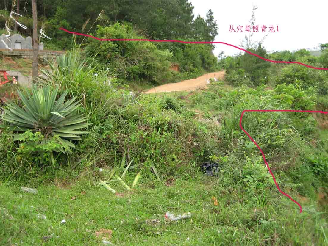 左边.jpg