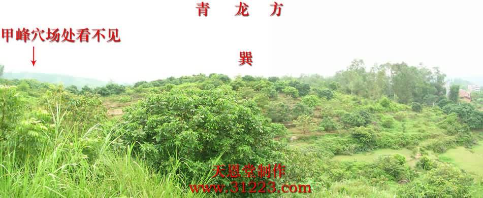 左边.jpg