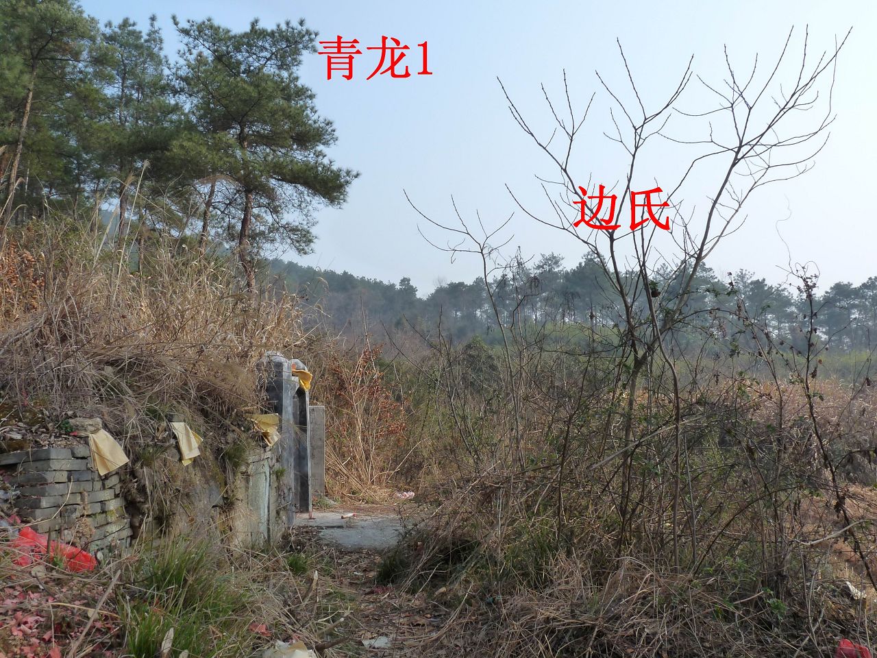 左1.jpg