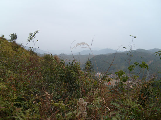 左2.jpg