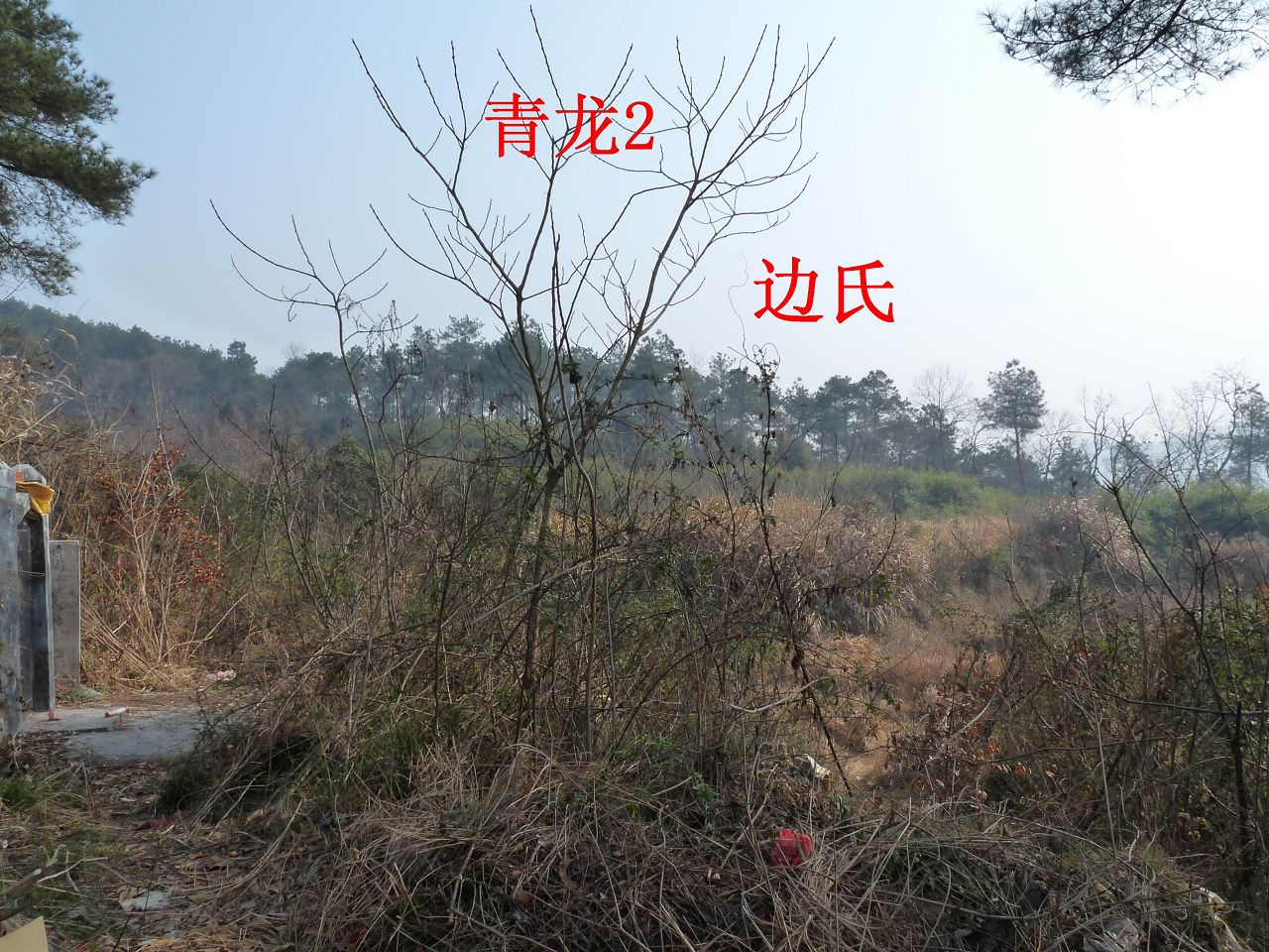 左2.jpg