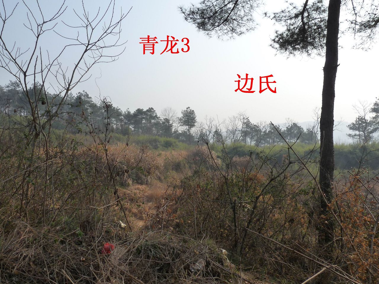 左3.jpg