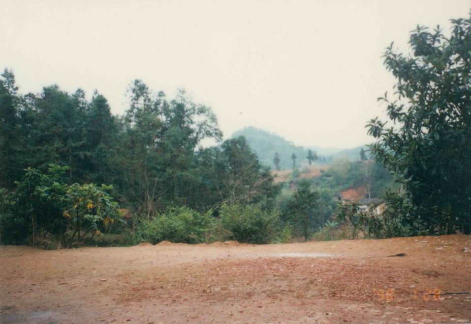 未标题-10.jpg