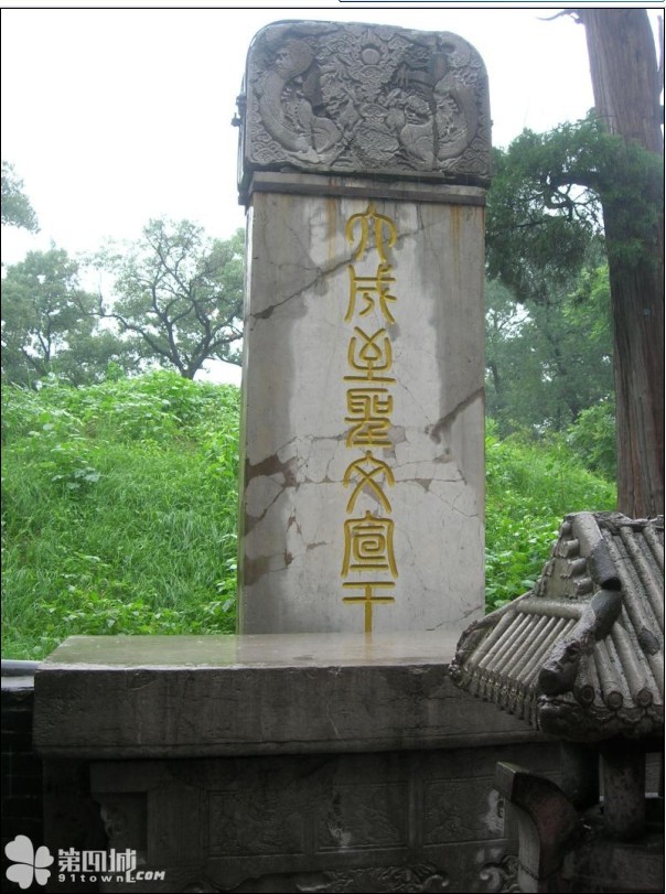未命名564.jpg