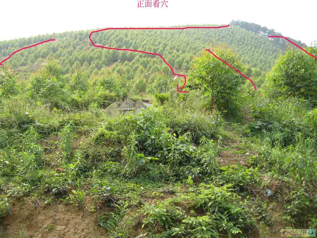 穴星.jpg