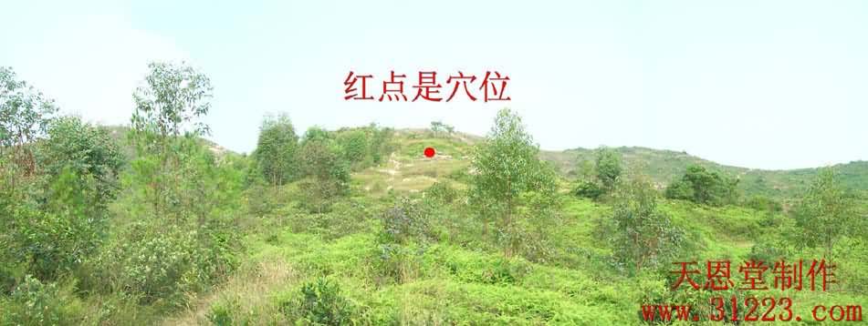 穴星.jpg