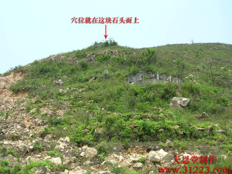 穴星1.jpg