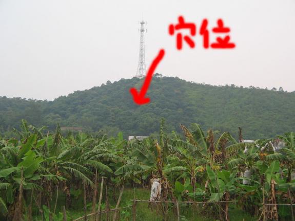 穴星1.jpg