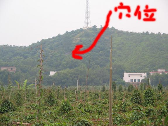 穴星2.jpg