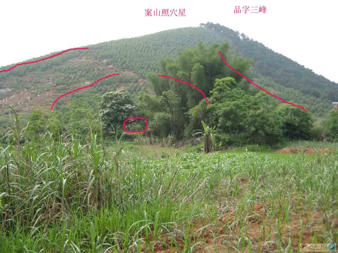 穴星2.jpg