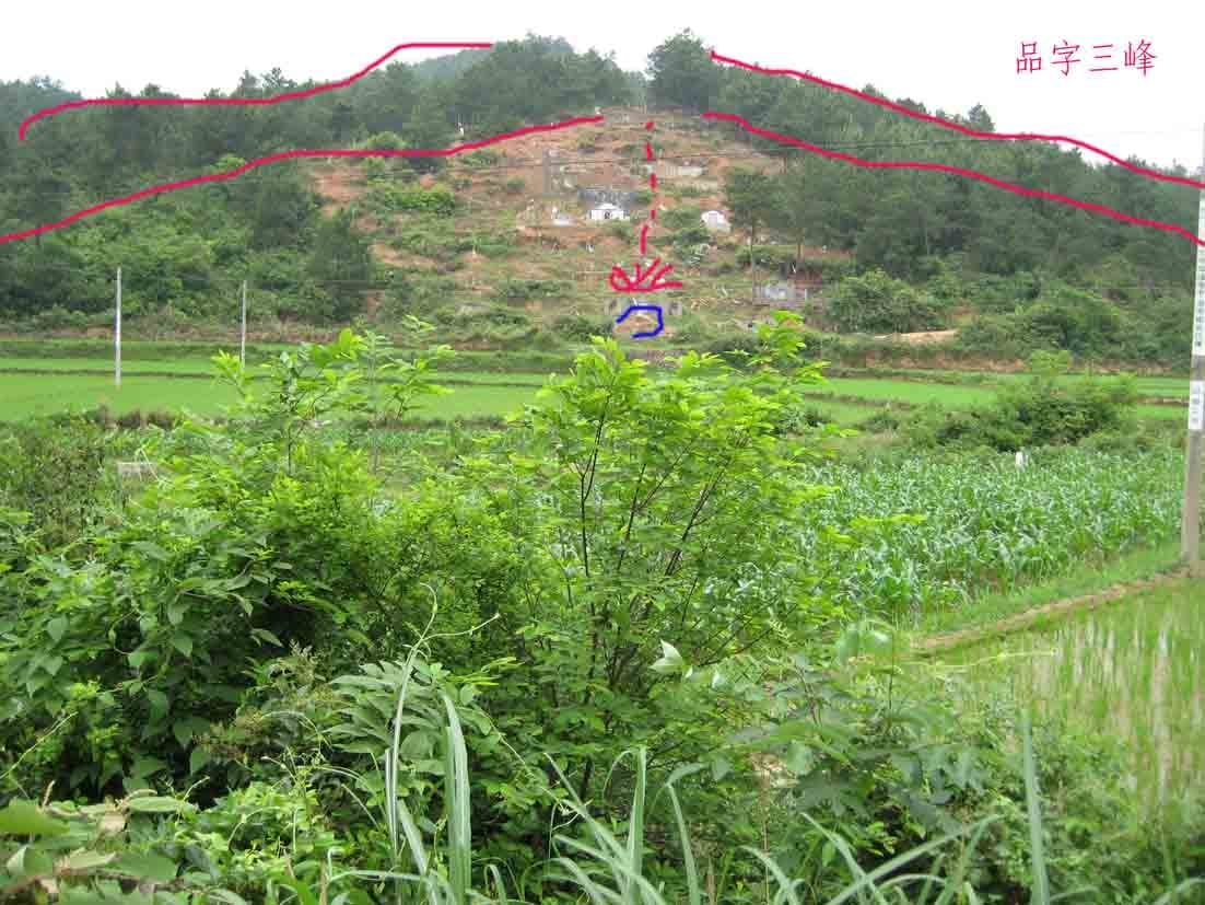 穴星2.jpg