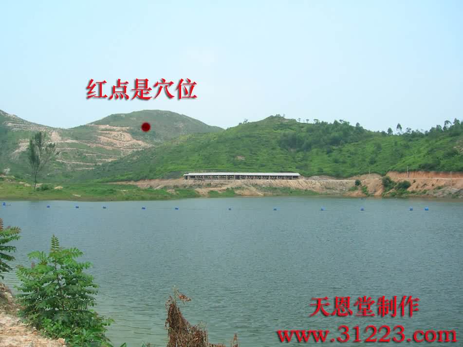 穴星4.jpg