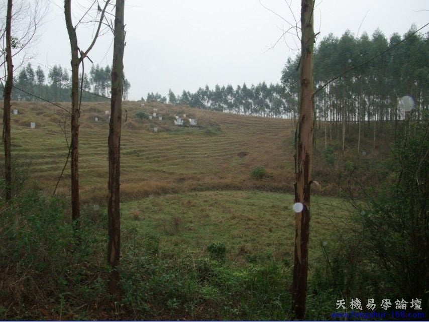 abbr_（癸未年）季冬立乾山巽向。发丁千百，贵到县官，富至几百万。.jpg