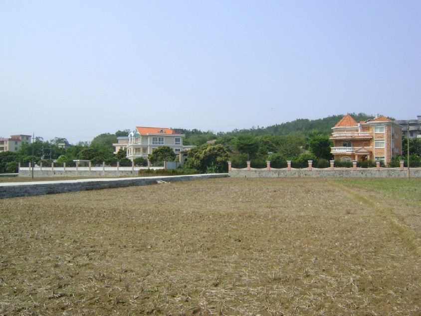 白虎.jpg