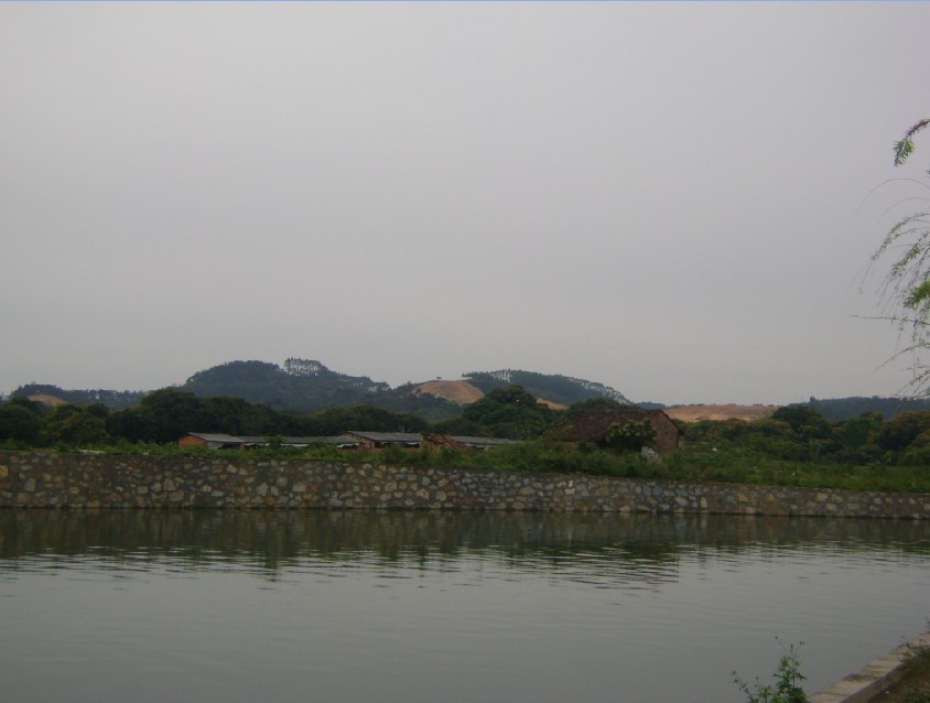 白虎2.jpg