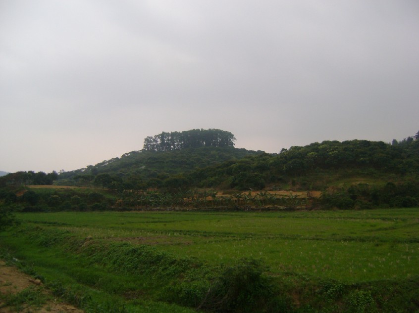白虎2.jpg