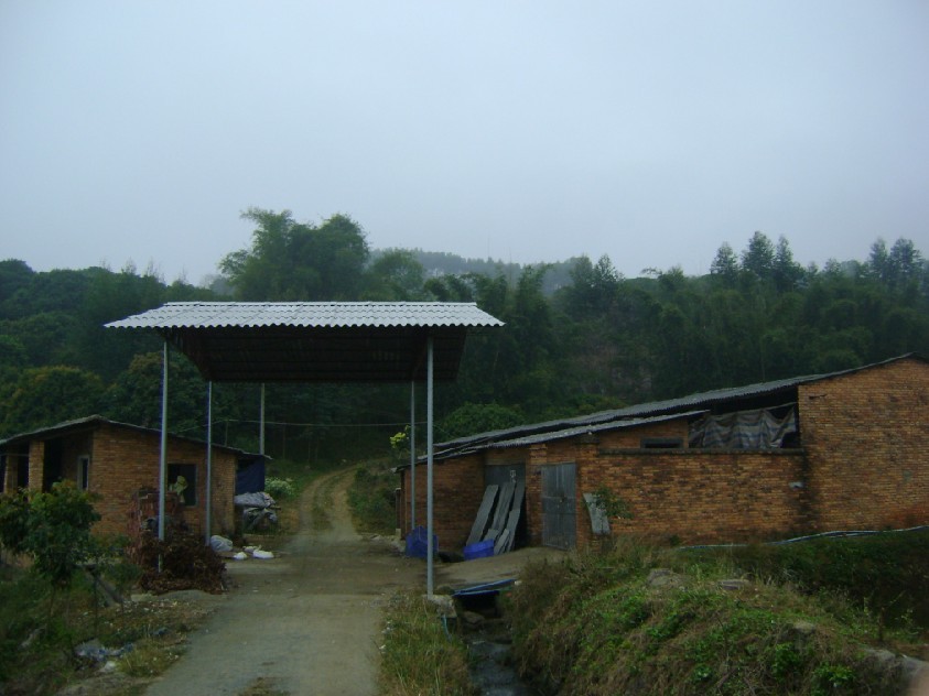 白虎2.jpg