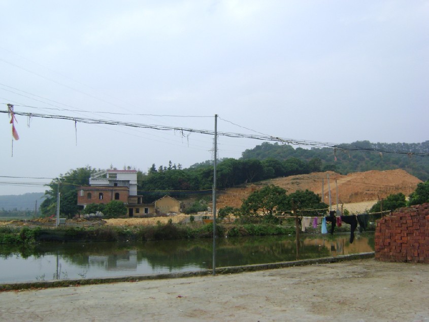 白虎2.jpg