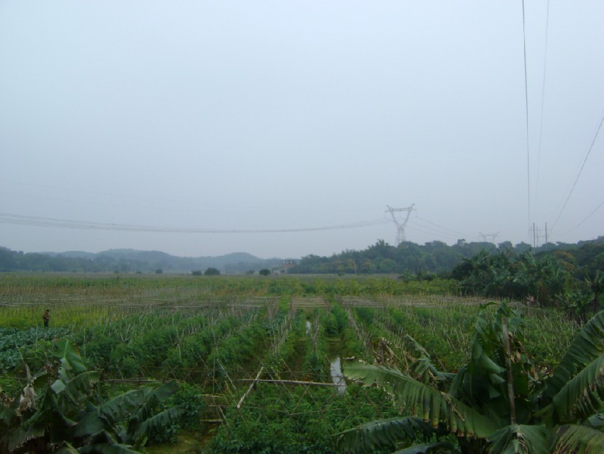 白虎2.jpg