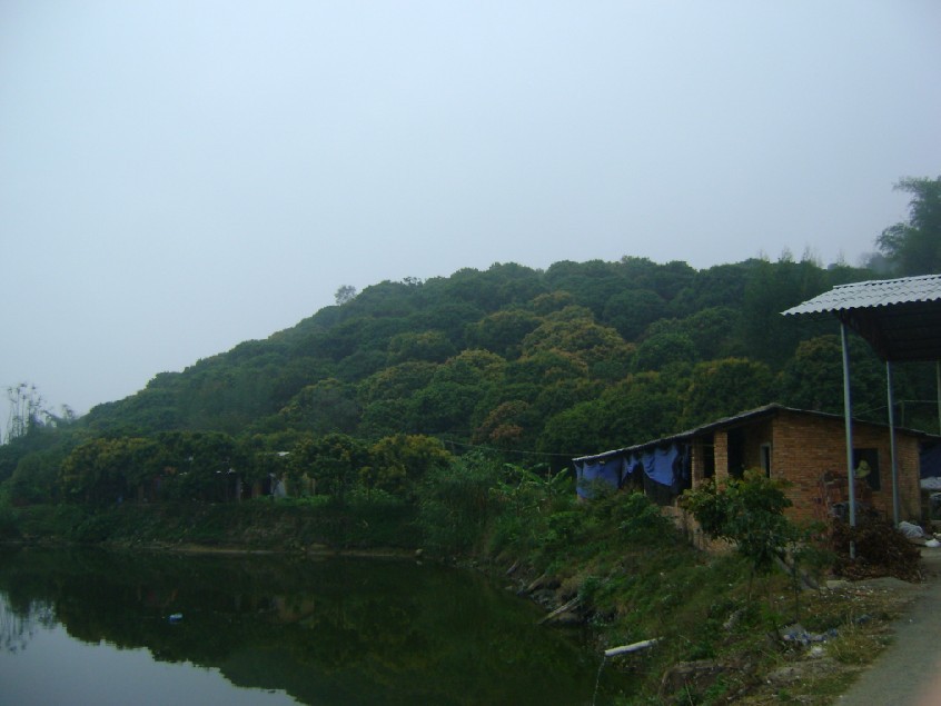 白虎3.jpg