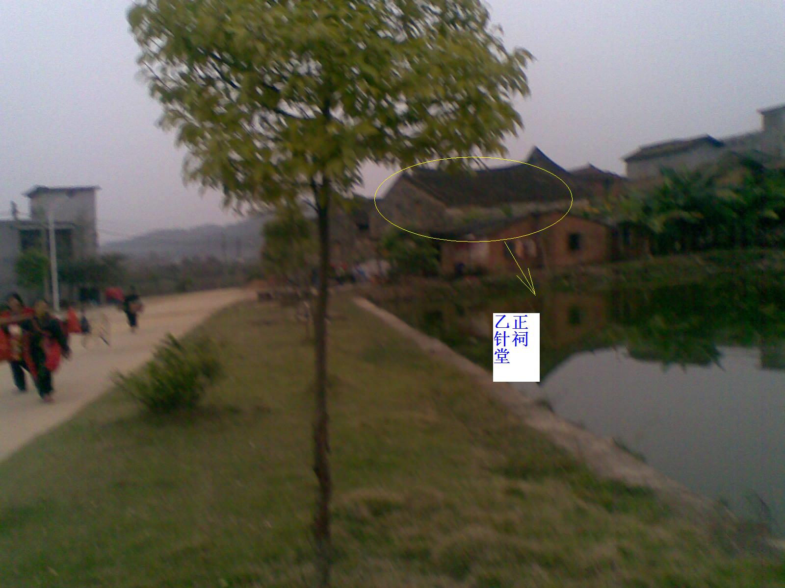 白虎3.jpg