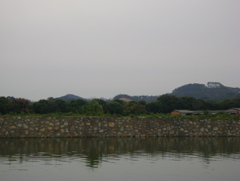 白虎3.jpg