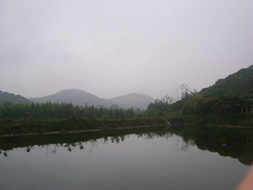 白虎4.jpg