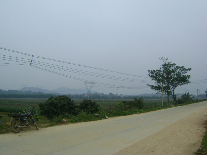 白虎5.jpg