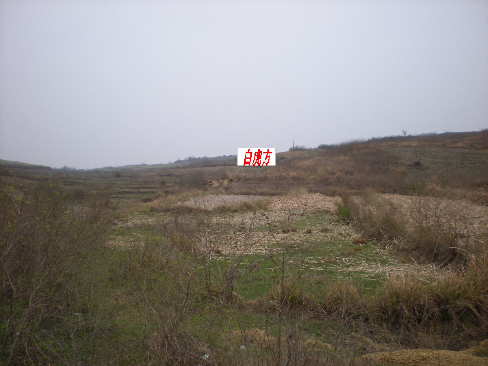 白虎方.jpg