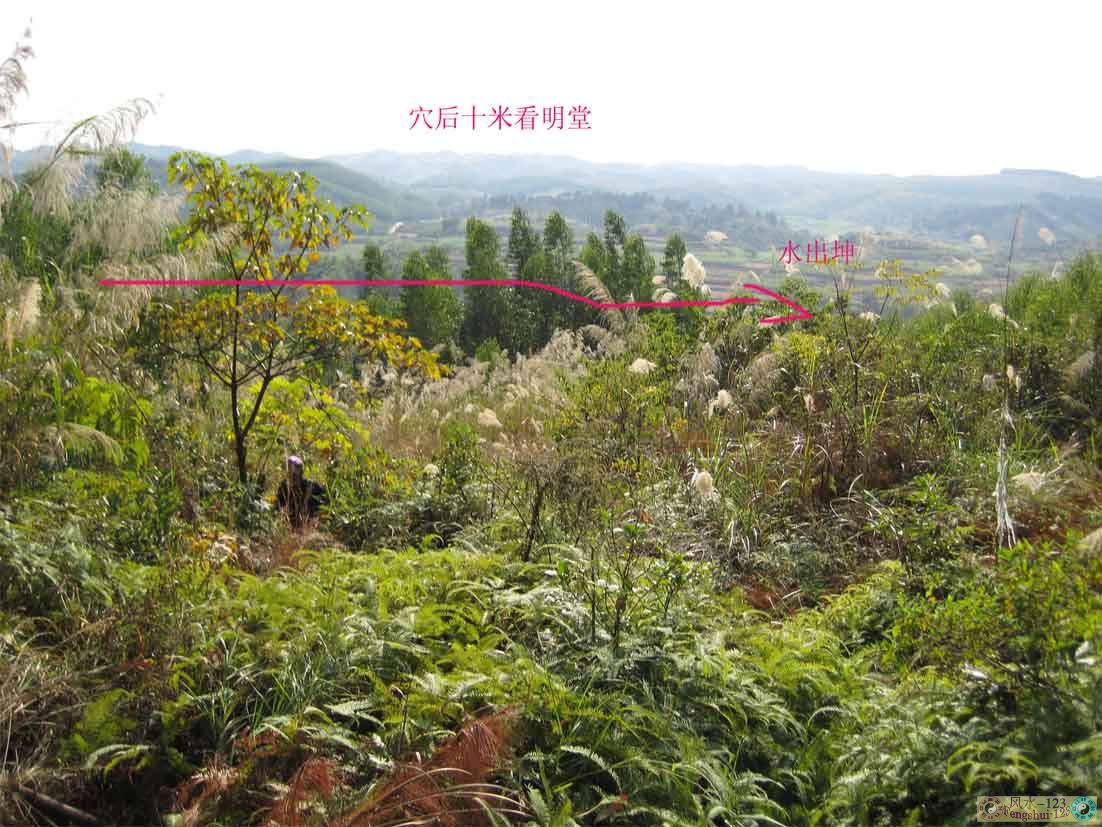 向上.jpg