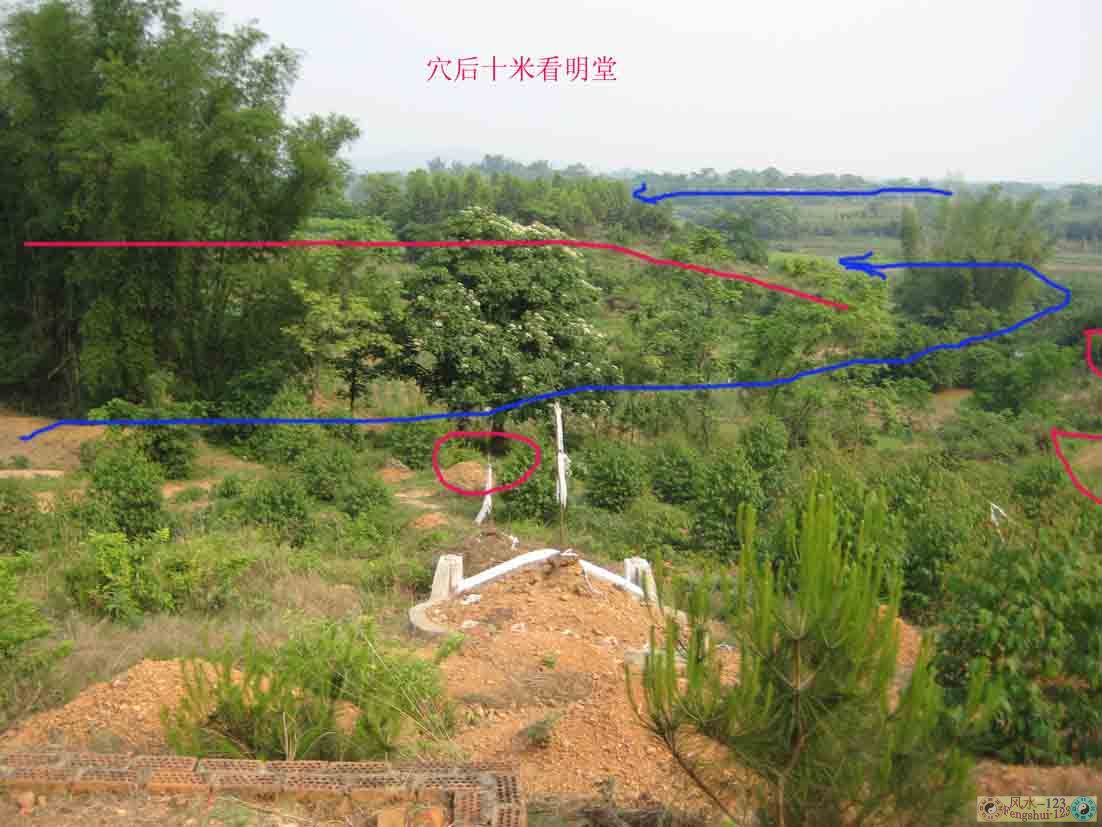 向上.jpg