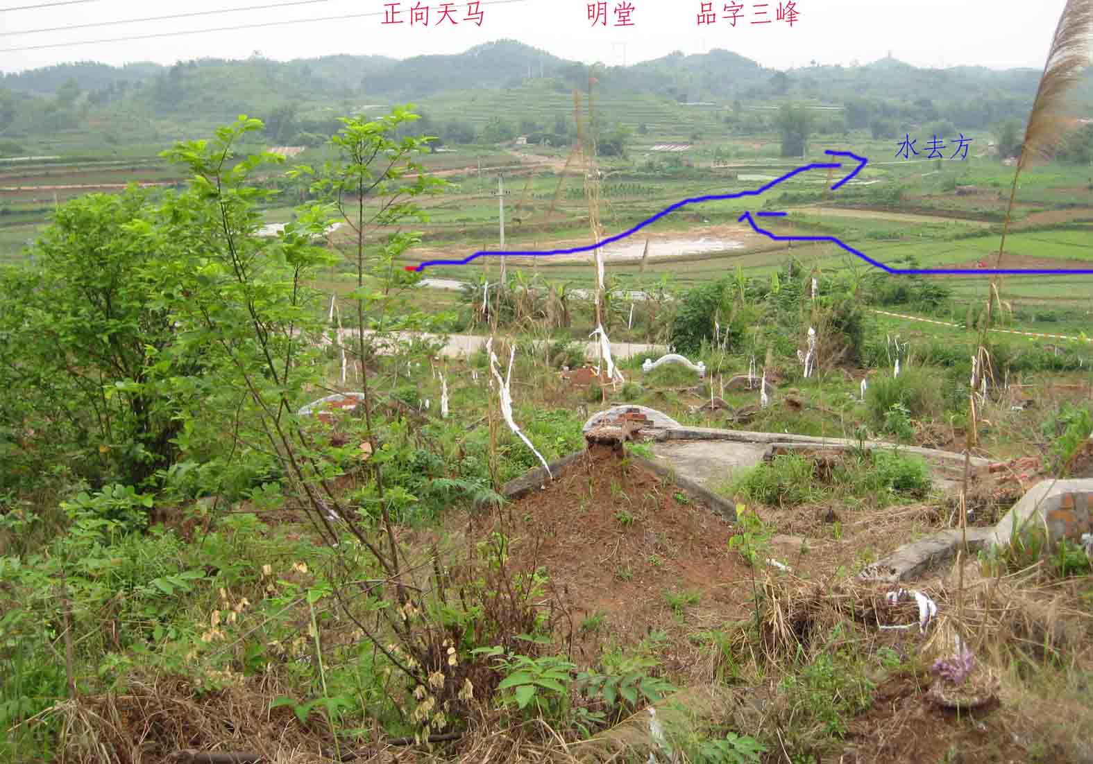 向上.jpg