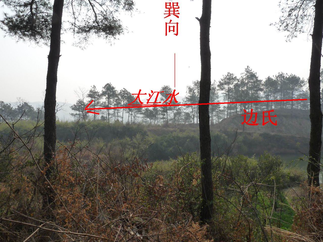 向上1.jpg