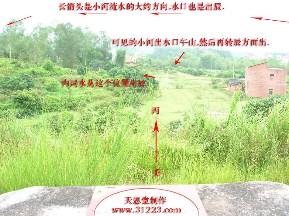 向上1.jpg