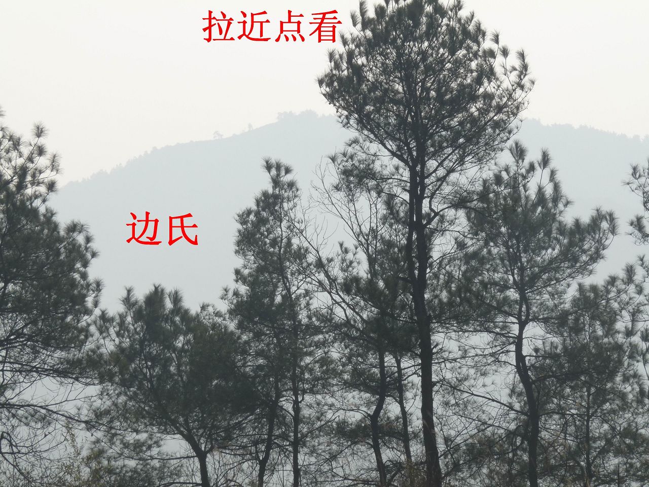 向上2.jpg