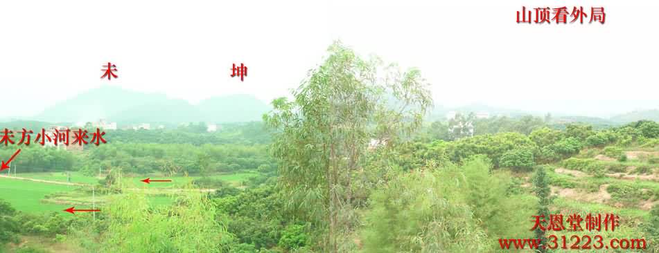 向上3.jpg