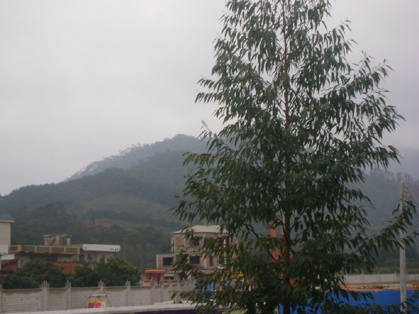 后龙山2.jpg