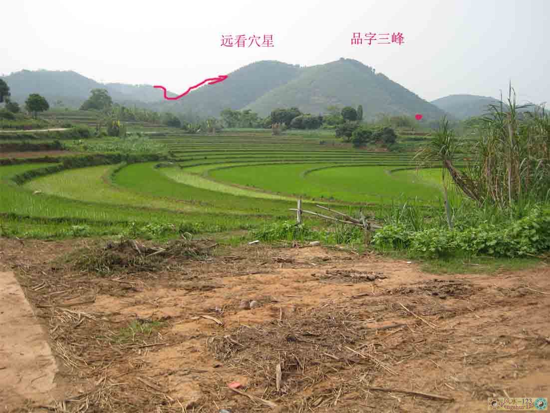 后龙大马赶小马.jpg