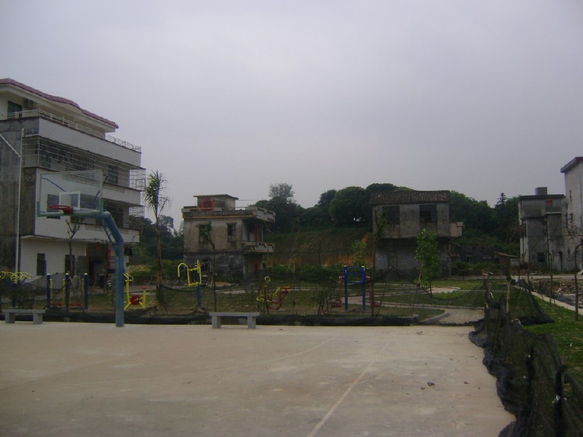 青龙2.jpg