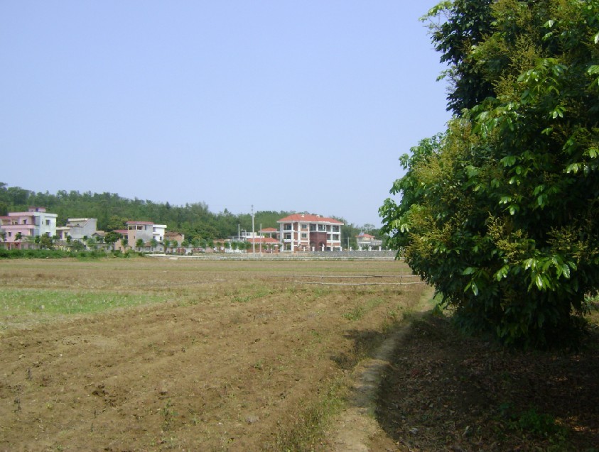 青龙.jpg