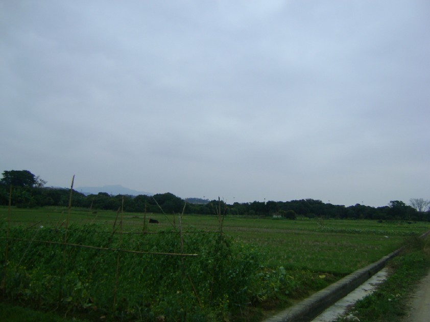 青龙3.jpg