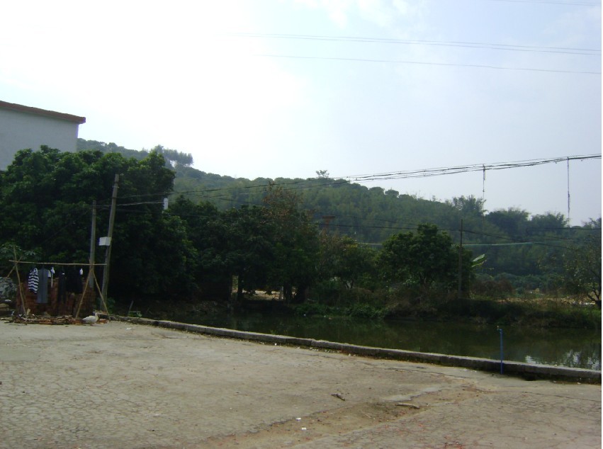 青龙2.jpg