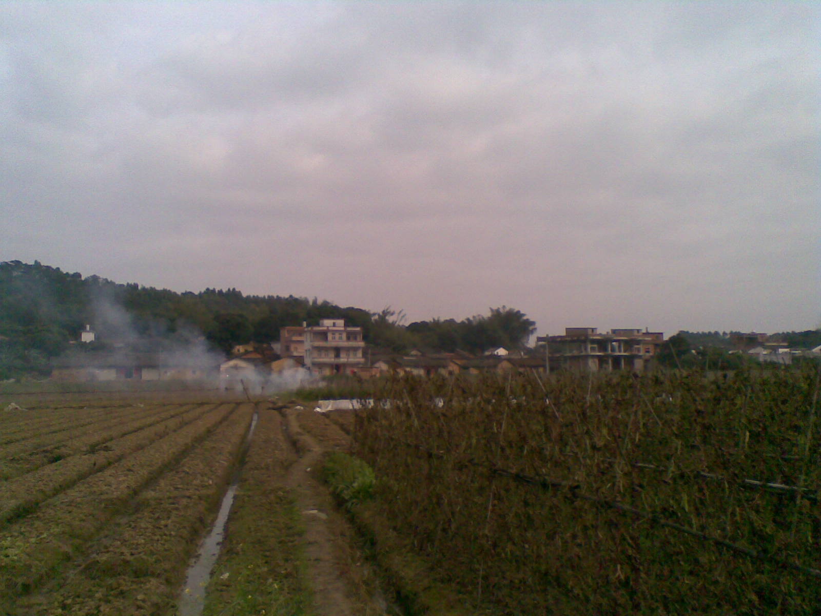 青龙1.jpg