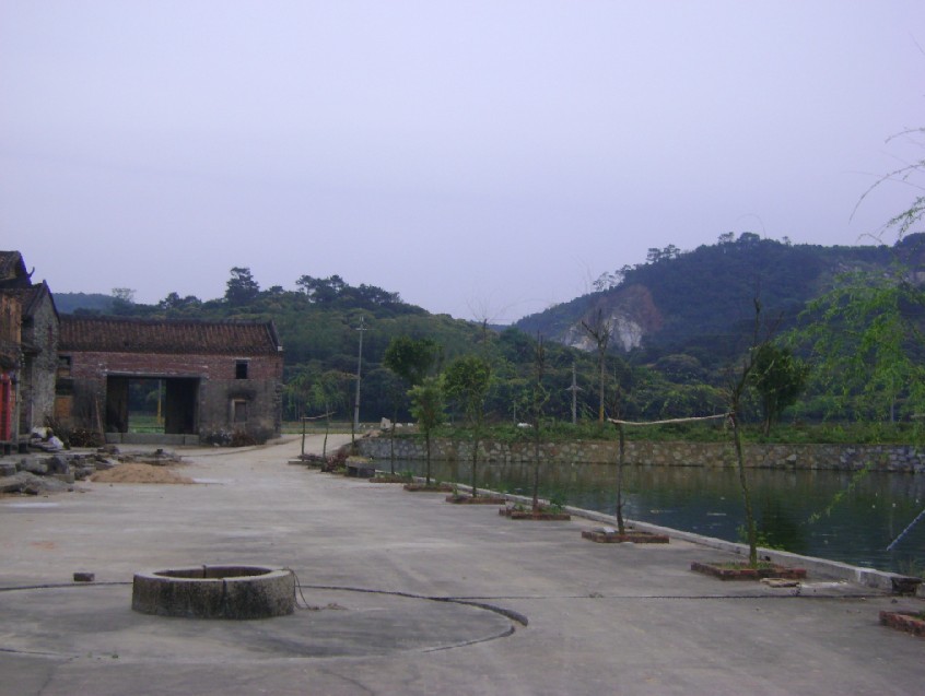 青龙1.jpg