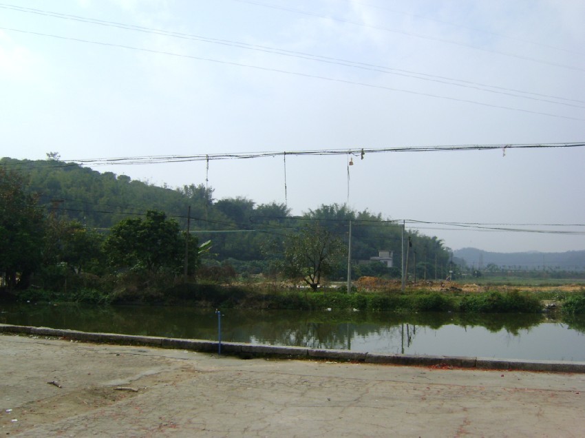 青龙3.jpg