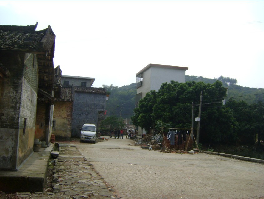 青龙1.jpg