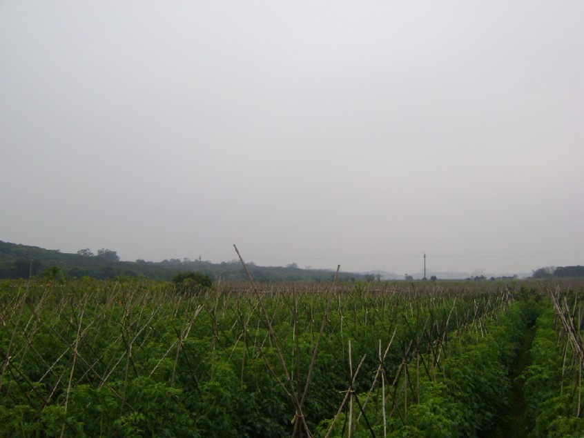 青龙5.jpg