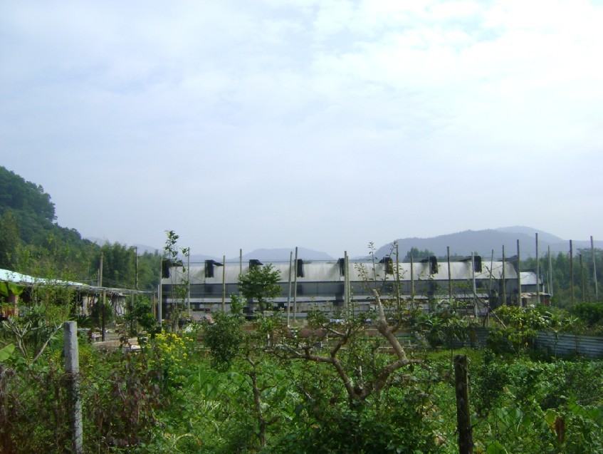 青龙2.jpg