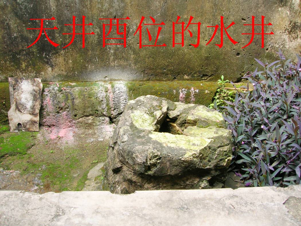 酉位水井.jpg