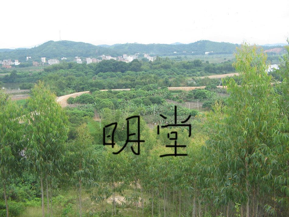 明堂与向上.jpg